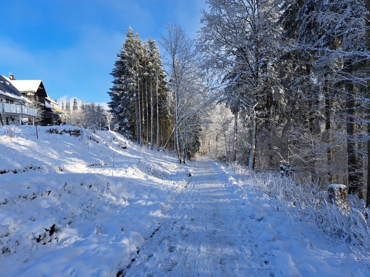 Great Apartment Winterberg Woods Медебах Экстерьер фото